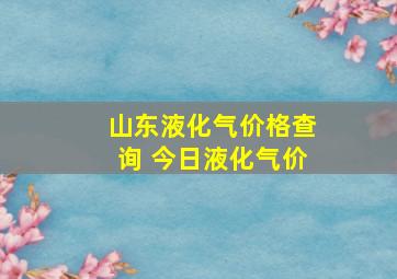 山东液化气价格查询 今日液化气价